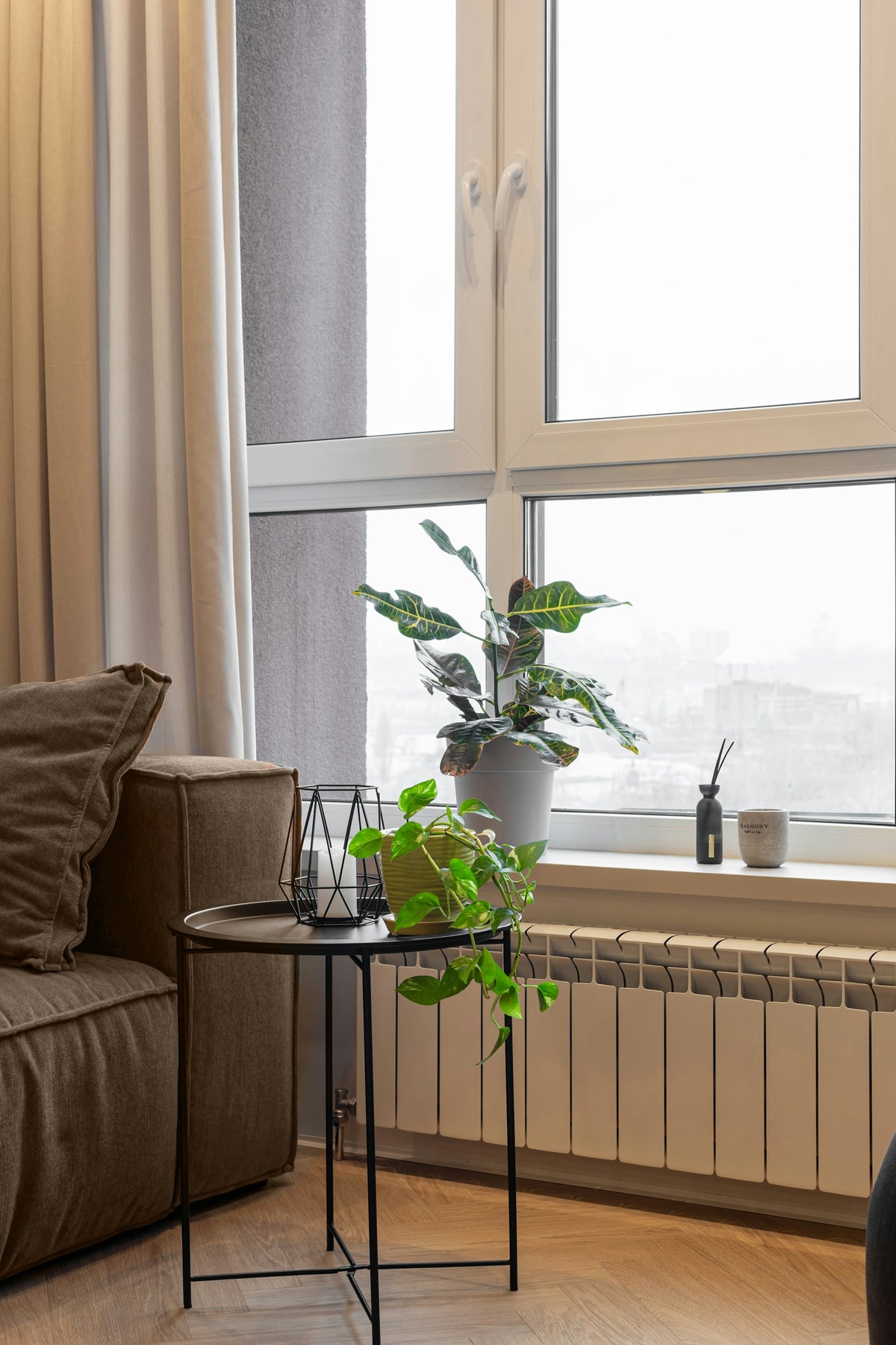 Sunlit corner of a living room with tall windows, plants and a sofa